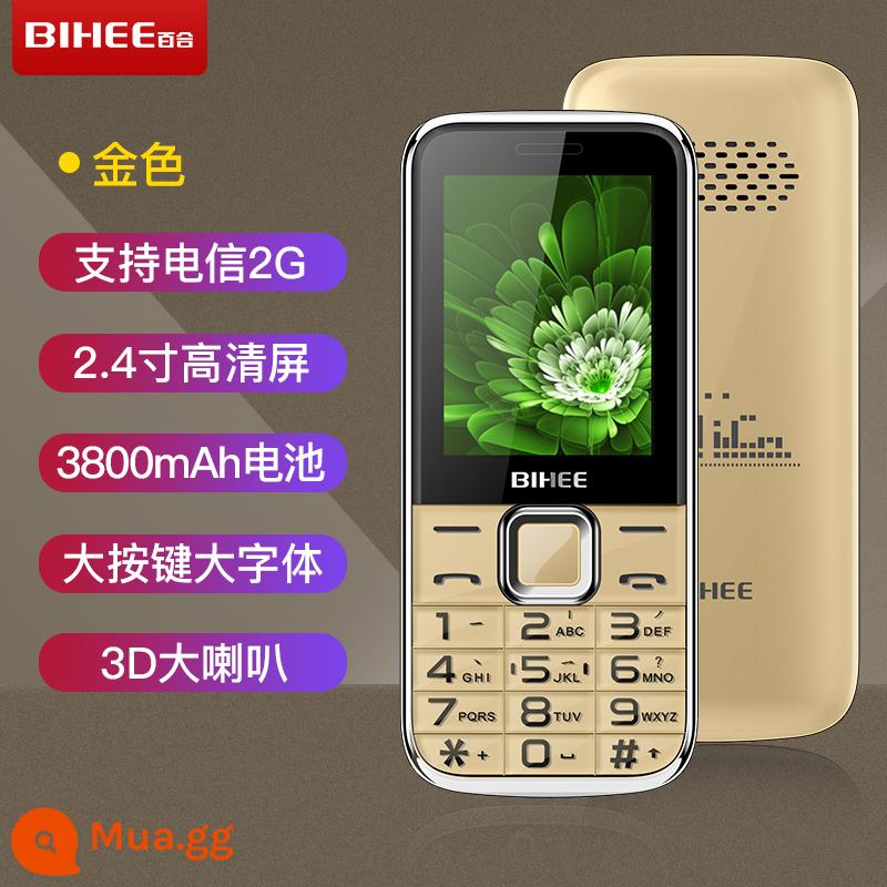 Lily BIHEEC20A Full Netcom Mobile Viễn Thông Phiên Bản Điện Thoại Người Già 4G Máy Thẳng Người Già Chế Độ Chờ Siêu Lâu A30 - Phiên bản Golden Telecom (Phiên bản 2G cao cấp)