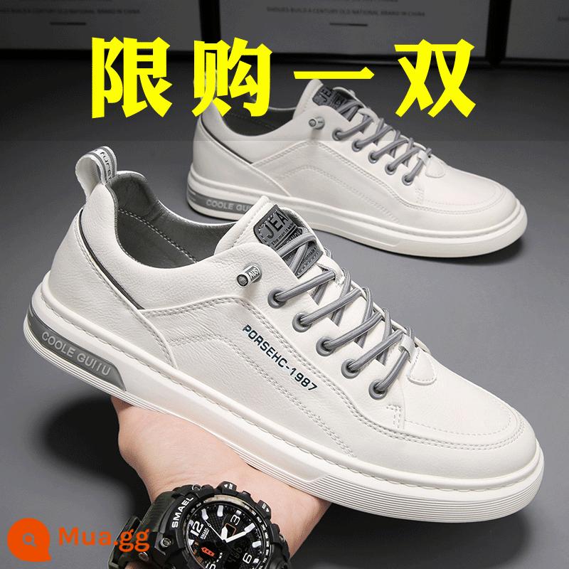 Giày Nam Mùa Hè 2023 Mùa Xuân Mới Tất Nam Giày Da Thể Thao Sneaker Sneaker Trắng Giày Hợp Thời Trang - Trắng