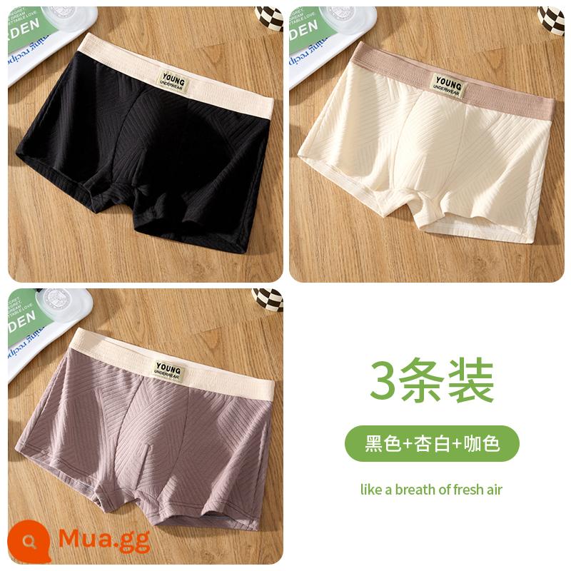 Quần lót nam, quần short boxer cotton kháng khuẩn nguyên chất cho bé trai, quần short boxer thể thao nam mùa thu đông thoáng khí trẻ trung - Đen + mơ trắng + màu cà phê