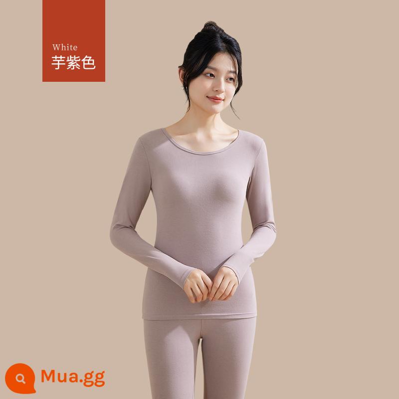 Quần áo sưởi ấm cho nữ, quần áo mùa thu, bộ quần vệ sinh, cotton nguyên chất, kiểu dáng mới, nhung, áo lót dày, áo len cotton, mùa thu đông - [Bộ đồ một màu] Tím khoai môn (Bông nguyên chất hữu cơ ấm hơn)