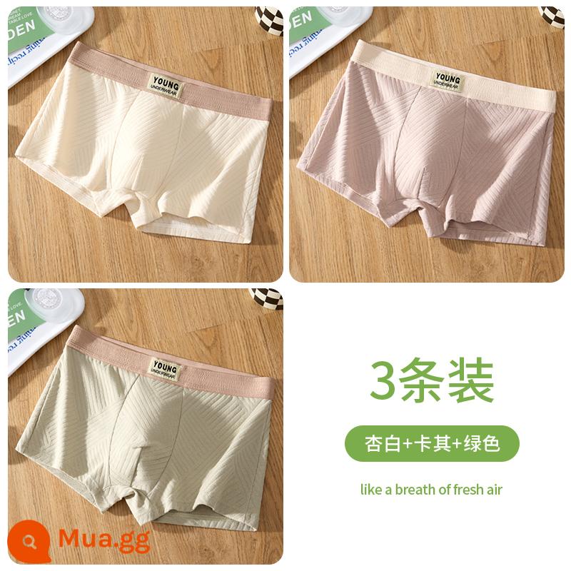 Quần lót nam, quần short boxer cotton kháng khuẩn nguyên chất cho bé trai, quần short boxer thể thao nam mùa thu đông thoáng khí trẻ trung - Màu trắng mơ + kaki + xanh