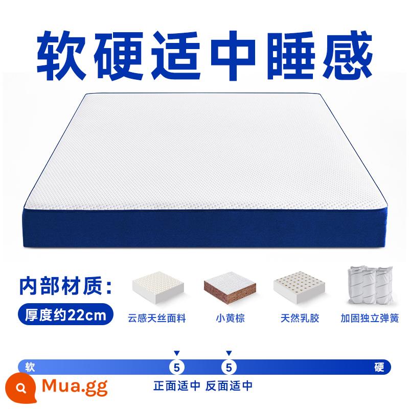 Seahorse Romance Super Blue Box Memory Foam Box Nệm Simmons Cao Su Nén Mềm Lò Xo Khách Sạn Năm Sao - Độ mềm và độ cứng vừa phải (độ dày khoảng 22 cm)