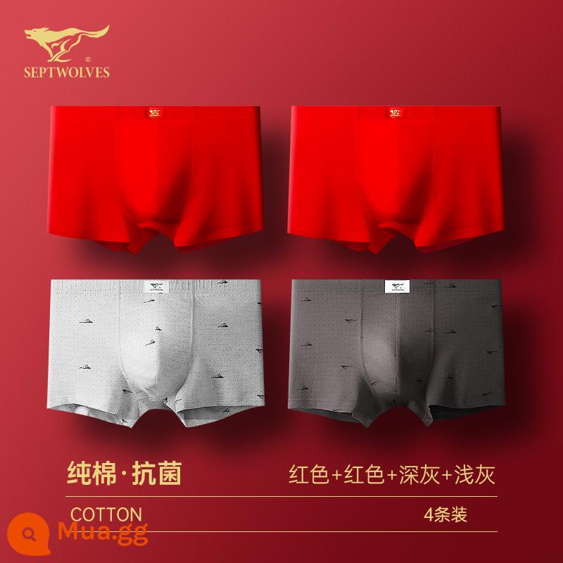 Seven Wolf Men Đồ lót tinh khiết Binjun Boys Big Red Flat -angle Tridruple Short Quần đầu là Quà tặng đám cưới Thỏ - [Hình ảnh chính giảm giá·Đỏ hỗn hợp] Đỏ lớn*2+xám đậm+xám nhạt