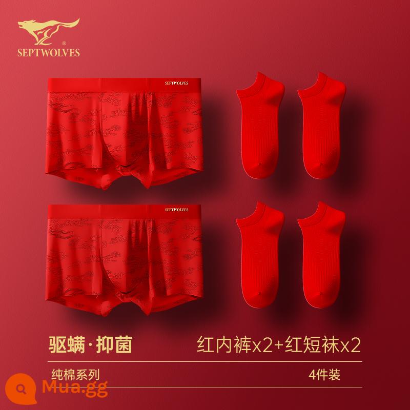 Seven Wolf Men Đồ lót tinh khiết Binjun Boys Big Red Flat -angle Tridruple Short Quần đầu là Quà tặng đám cưới Thỏ - [Phong cách đám mây may mắn·Kết hợp may mắn] Quần lót đỏ x2 + Tất đỏ x2