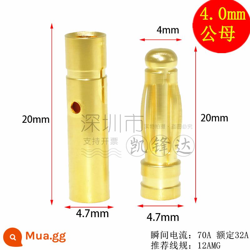 Mô hình máy bay bằng đồng nguyên chất mạ vàng đầu chuối 2.0/3.0/4.0/5.0/6.0/8.0mm động cơ điện tử thống đốc phích cắm đặc biệt - 4mm, mỗi loại 5 nam và nữ