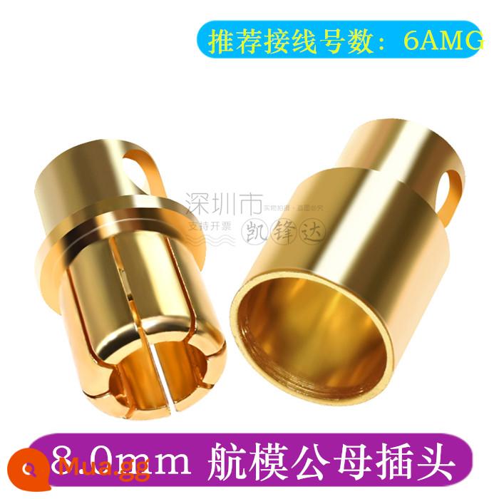 Mô hình máy bay bằng đồng nguyên chất mạ vàng đầu chuối 2.0/3.0/4.0/5.0/6.0/8.0mm động cơ điện tử thống đốc phích cắm đặc biệt - 8,0 5 nam và 5 nữ mỗi người