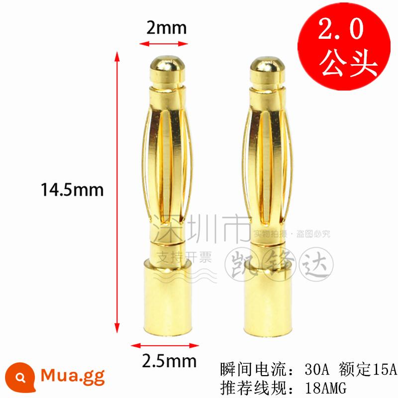 Mô hình máy bay bằng đồng nguyên chất mạ vàng đầu chuối 2.0/3.0/4.0/5.0/6.0/8.0mm động cơ điện tử thống đốc phích cắm đặc biệt - Đầu nối đực 2.0mm 1 cái