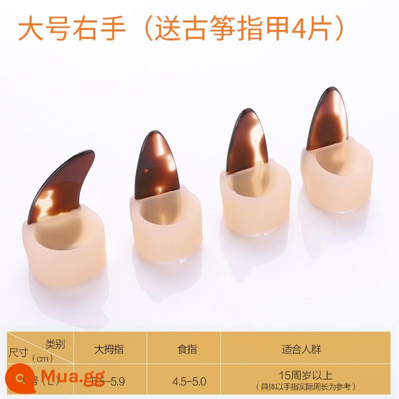 Guzheng bộ móng tay silicone trẻ em miễn phí từ guzheng băng dành cho người lớn chuyên nghiệp chơi guzheng phụ kiện cũi ngón tay - Vỏ bọc móng tay bằng silicon-Tay phải lớn [Tặng 4 miếng móng guzheng]