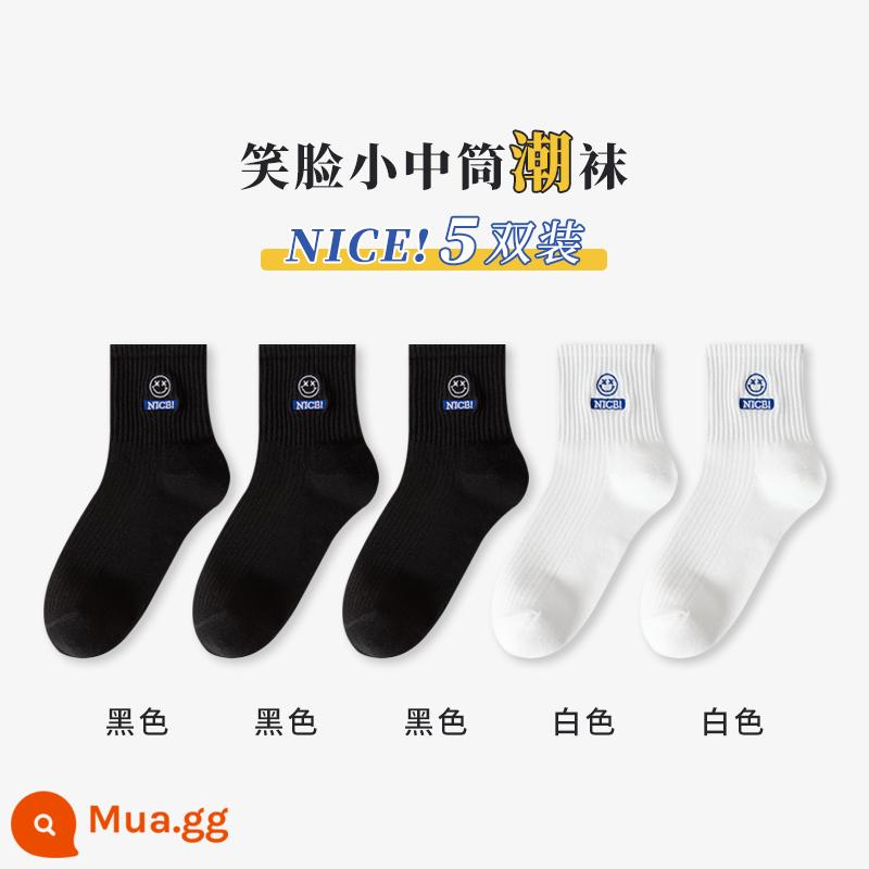 Vớ nam nam cotton nguyên chất Plus nhung dày mùa đông giữa ống tất cotton khử mùi chống vận động viên vớ thể thao - Kết hợp lắp đặt kép V-5