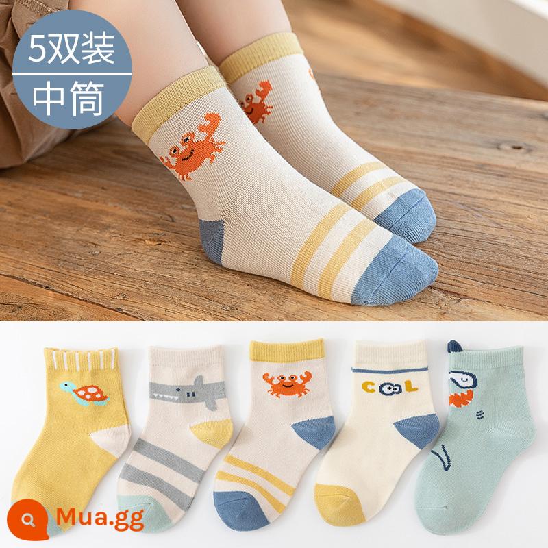 Ultraman Vớ Bé Trai Mùa Đông Dày Ấm Giữa Ống Trẻ Em Cotton Mùa Đông Bé Trai Hoạt Hình Cho Bé Bông Tất - Crab Shark-5 Đôi [Tất cotton thu đông]