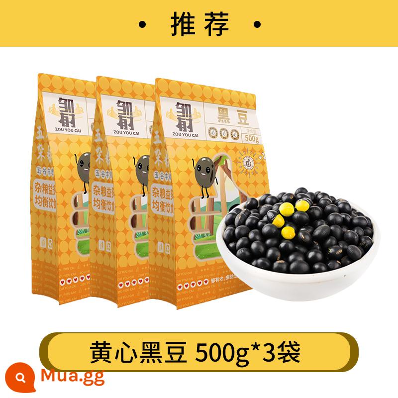 2022 trái tim xanh mới đậu đen nhỏ 500g ngũ cốc và các loại ngũ cốc khác Qingren đập sữa đậu nành trang trại nảy mầm đặc biệt tự sản xuất và tự trồng - (Khuyến nghị 3kg) Đậu đen lòng vàng 500g*3 túi