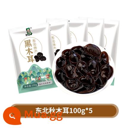 Nấm đen đông bắc 100g đặc sản mùa thu mới chính hiệu trang trại Hắc Long Giang tai bát siêu nhỏ không hoang dã - [Tạo bọt cao] Nấm mùa thu Đông Bắc 100g*5 túi