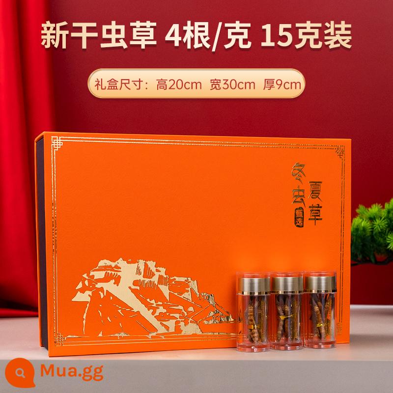 Tây Tạng Naqu Cordyceps sinensis chính thức hàng đầu cửa hàng Cordyceps đích thực hàng khô 4 que/g 10g hộp quà tặng 50g đặc sản - 4 que/g 15g 60 que (miễn phí 6 que cho đơn hàng trên 30g)