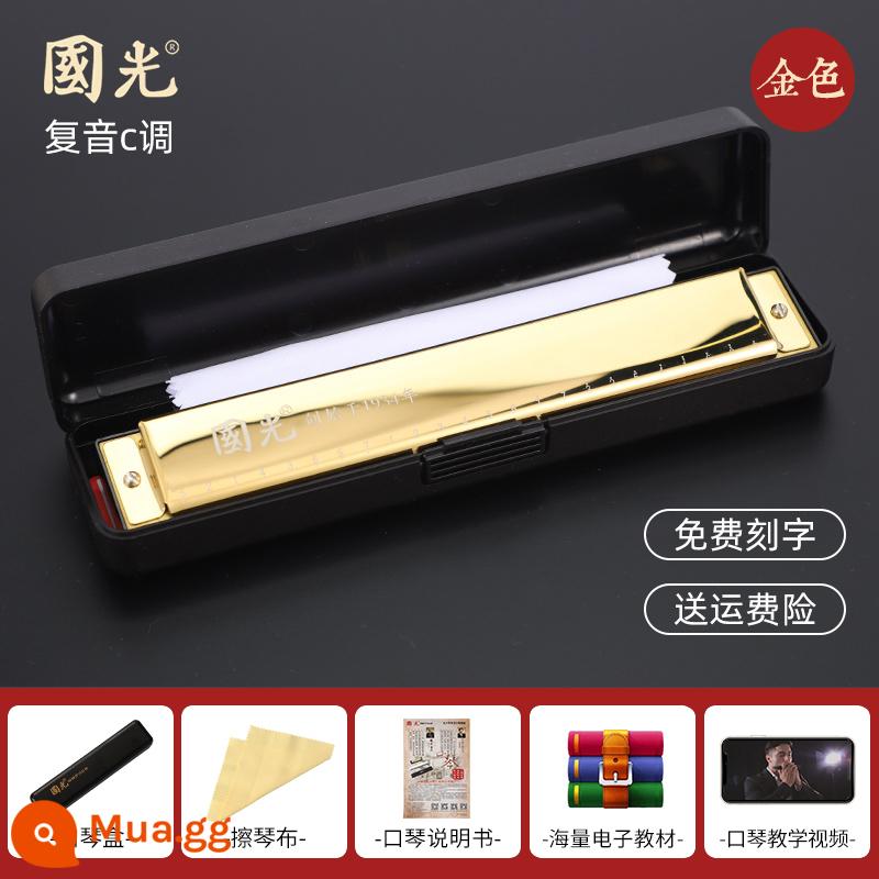 Chính hãng Guoguang harmonica chính thức cửa hàng hàng đầu 24 lỗ đa âm C Key 28 lỗ giọng biểu diễn chuyên nghiệp cấp độ trưởng thành người mới bắt đầu - [Mẫu dành cho người mới bắt đầu] Phím C đa âm 24 lỗ - Vàng