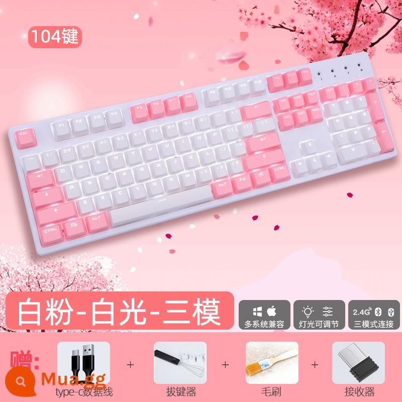 RK987 Bàn Phím Cơ Không Dây Bluetooth 2.4G 3 Chế Độ Có Thể Trao Đổi Nóng Hồng Keycap PBT Xanh Trục Đỏ Trục 87/104 - Bột trắng 104 phím (ánh sáng trắng) - ba chế độ