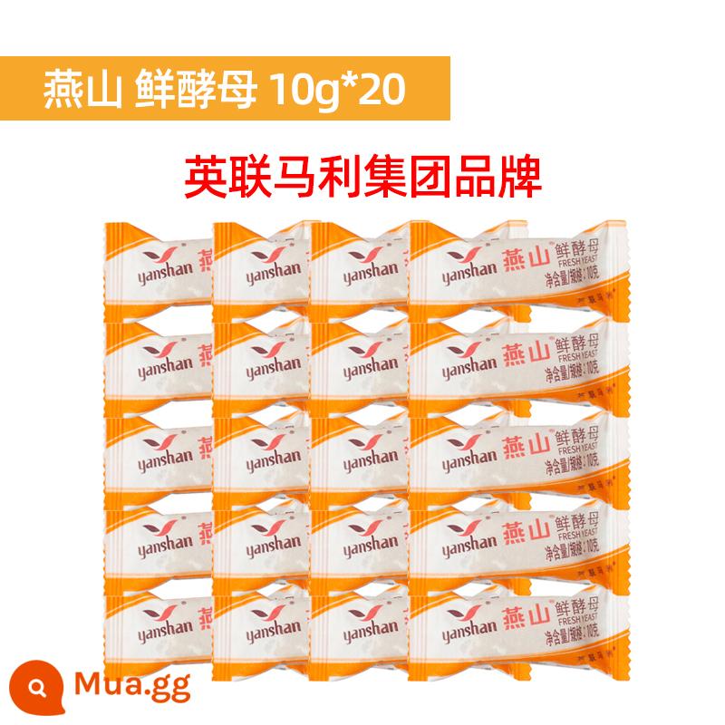 Yanshan men tươi 10g * 10 men tươi hoạt tính cao gói nhỏ bột men hấp bánh mì nướng thương mại hộ gia đình - Nấm men tươi Yanshan 10g * 20