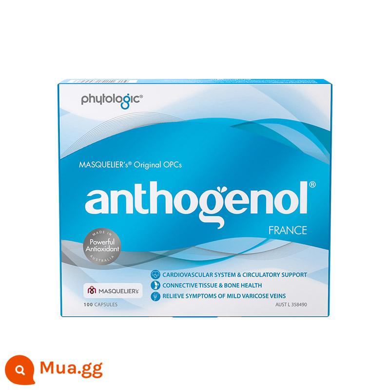 [Tự vận hành] Anthogenol Moonlight Box Hạt nho Collagen Anthocyanin Sản phẩm dinh dưỡng chống ố vàng - [Khuyến nghị hấp dẫn] Hộp kho báu ánh trăng 100 viên