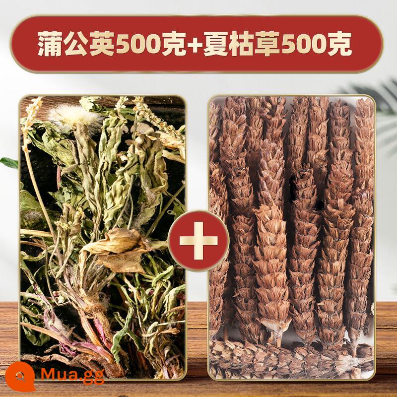 Bồ công anh nguyên củ 500g trà bồ công anh hàng khô cao cấp chính hãng trà rễ bồ công anh tươi thuốc thảo dược Trung Quốc - Bồ công anh + Prunella Vulgaris mỗi loại 500g