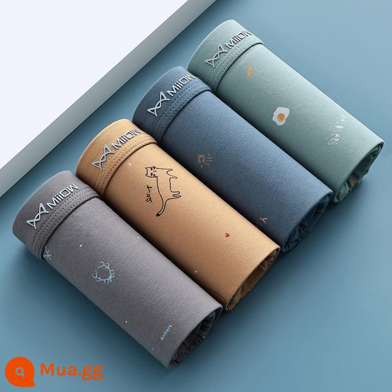 Catman quần lót cotton nguyên chất quần boxer nam mùa hè mỏng quần short bé trai kháng khuẩn thoáng khí đầu quần boxer thời trang nam - Xám nhạt + nghệ + xám xanh + xanh moxa [4 chiếc - cotton thoải mái]