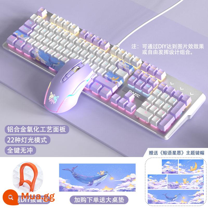 Cá Voi Ngôi Sao Chúc Bàn Phím Cơ Chơi Game Có Dây Trục Xanh Laptop Đánh Văn Phòng Bé Trai Bé Gái Tóc Sáng - Bàn phím cơ "Whale Star Wish" Màu tím trắng-Đèn màu + Chuột