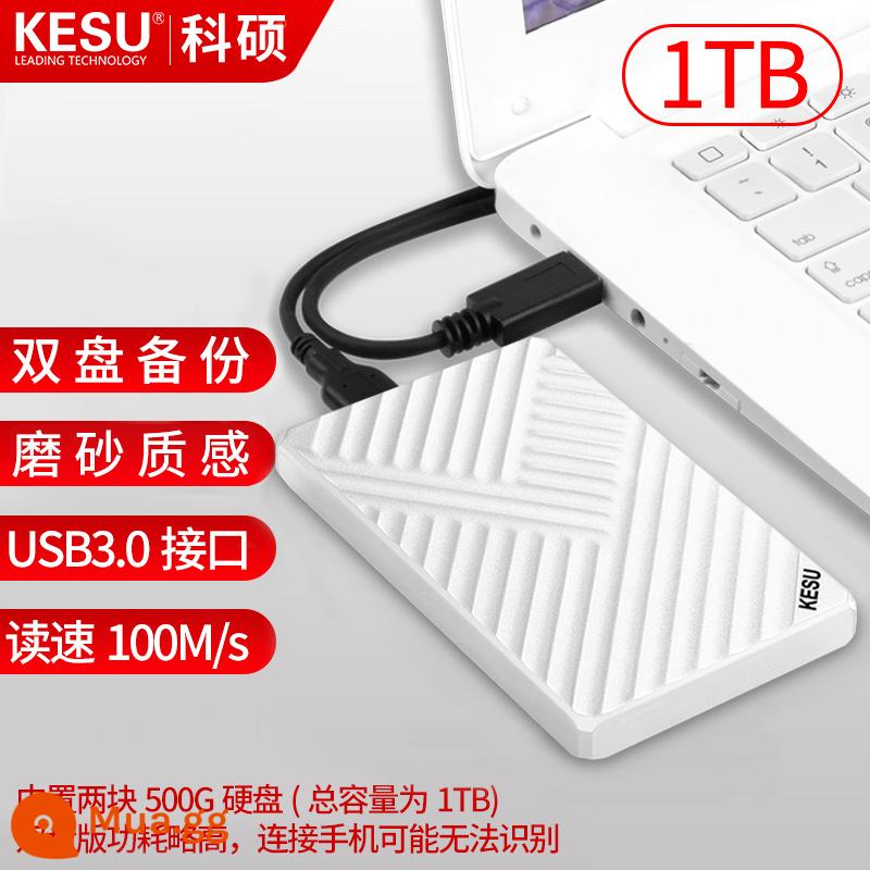 Ổ cứng di động Keshuo 500G kết nối với máy tính điện thoại di động ổ cứng tốc độ cao 1TB di động ổ cứng cơ thể rắn mã hóa 2tb - White-1TB (phiên bản đĩa đôi) + túi chống sốc