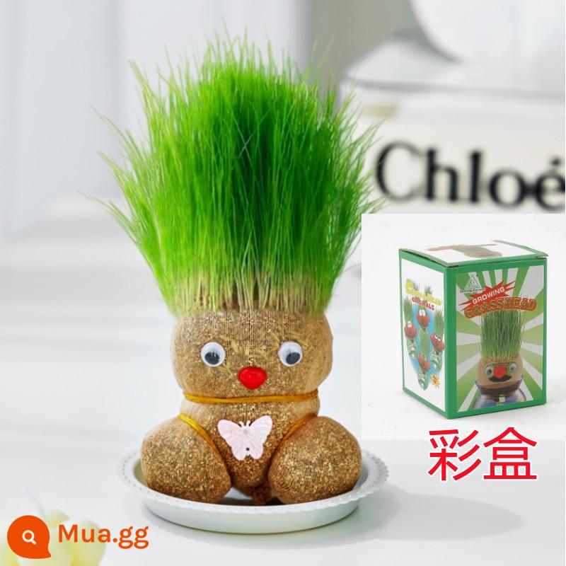 Búp bê đầu cỏ với ngọn cỏ dài trên đầu chậu cây nhỏ tưới nước cho trẻ em tóc dài trồng cỏ mẫu giáo lưới hoa đỏ - [Hộp màu] 1 búp bê cỏ dài [kèm khay]