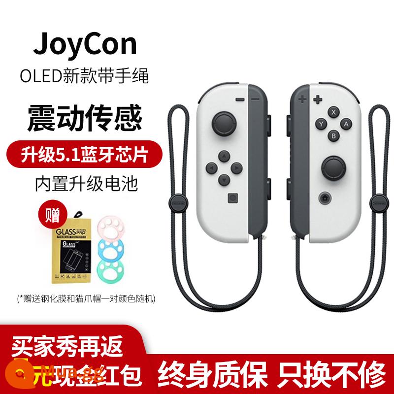 Thích hợp cho tay cầm công tắc Nintendo tay cầm joycon ns nội địa HKII trò chơi somatosensory màn hình oled chính hãng joncon tay cầm trái và phải đơn Pokémon switchipro vòng tập thể dục jys - [Mẫu mới của Oled] Một cặp ◆Mua một, nhận bốn miễn phí◆Bảo hành trọn đời