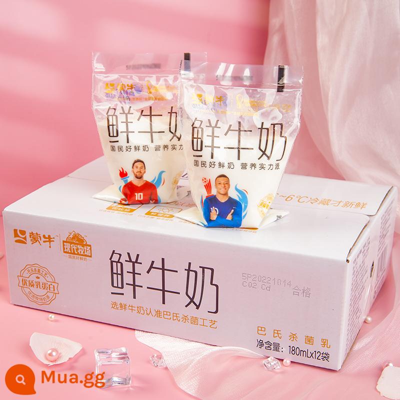 Sữa tươi Mengniu 180ml * 12 túi sữa nguyên chất túi tươi tùy chọn túi lưới nhỏ màu đỏ trắng sữa ăn sáng - Sữa tươi Mengniu 180ml