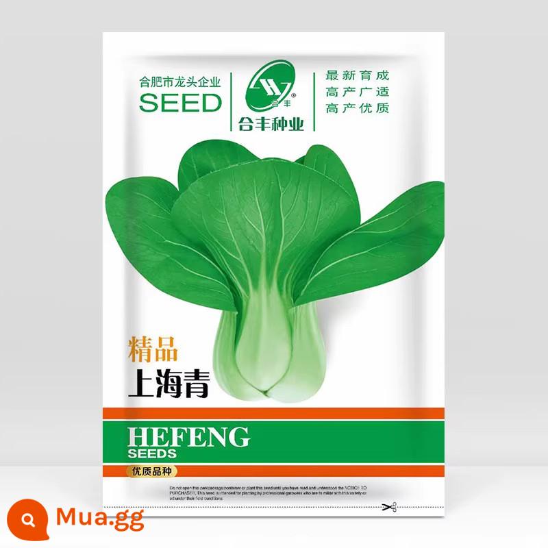 Crystal Ice Seeds Ban công Hạt giống rau trồng trong chậu Bộ sưu tập hoàn chỉnh Cây giống cỏ băng bốn mùa để trồng Hạt giống rau xanh vào mùa thu đông - Premium Shanghai Green 30g [thu hoạch trong 20 ngày, giòn, mềm và ngon]