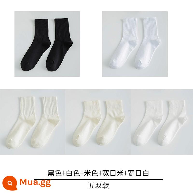 Tất trắng cho nữ, cotton mỏng nguyên chất, sinh nhật nam nữ thêu mùa xuân thu của cặp đôi vớ cotton nam mùa hè - [Phong cách cơ bản] Dải mỏng màu đen + dải mỏng màu trắng + dải gạo mỏng + màu be + trắng [5 đôi]