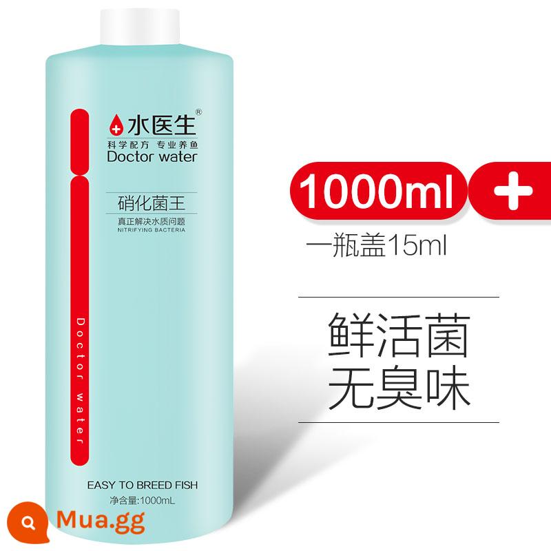 Bác sĩ nước nitrat hóa vi khuẩn bể cá với thuốc để làm sạch chất lượng nước bể cá máy lọc ổn định máy lọc nước để tiêu hóa vi khuẩn - Vi khuẩn nitrat hóa hoạt tính 1000mL/chai