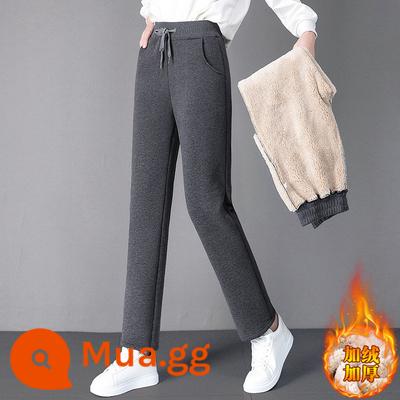 Quần nhung Sherpa nữ mùa thu đông dày dặn ấm áp lưng cao cotton cộng nhung thể thao dáng rộng thường ngày quần ống đứng - Xám [1326 sherpa thẳng dày]