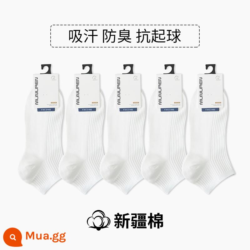 Tất nam đến giữa bắp chân nam mùa xuân thu sợi cotton nguyên chất chống vận động viên, chống mùi hôi, thấm hút mồ hôi tất đen trắng - Quần short nam màu trắng