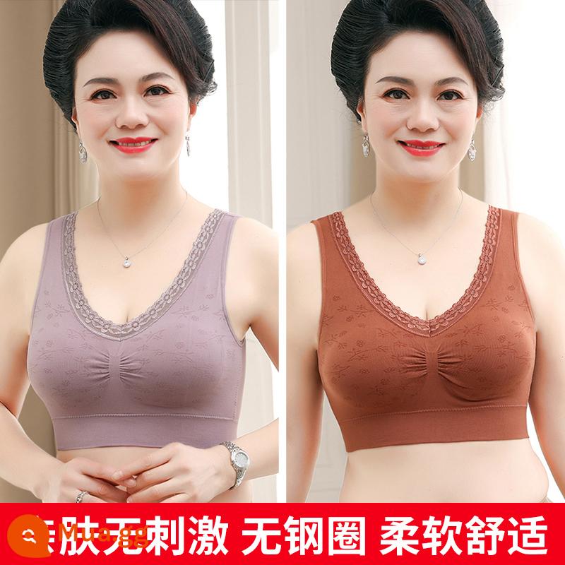 Áo ngực kiểu vest của mẹ có đệm ngực một trong những đồ lót lưng đẹp không có gọng thép áo ngực cotton nguyên chất cho phụ nữ trung niên và cao tuổi - 0317 (Khoai Môn Tím + Caramen)