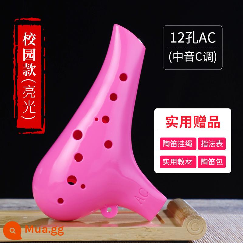 Nhạc cụ Ocarina Sáo ac-tuned 12 lỗ học sinh tiểu học Học sinh tiểu học bằng nhựa 12 lỗ mới bắt đầu học sinh tiểu học trẻ em đặc biệt - [Phong cách trường học] Bột bóng Ocarina Resin + Quà tặng