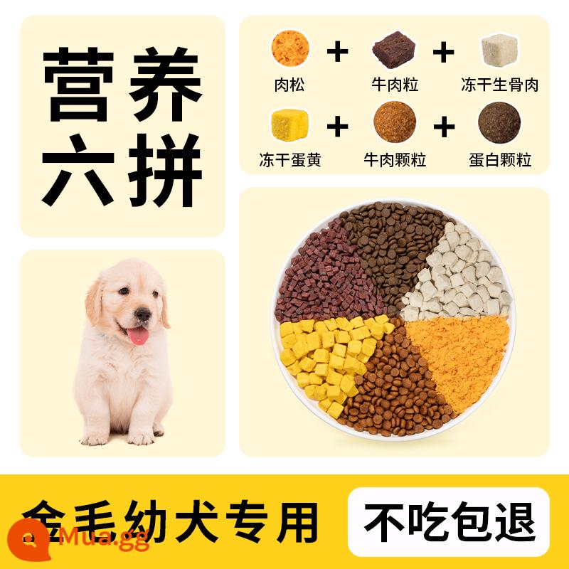 Golden Retriever Chó đặc biệt ăn 40 con mèo vào một chú chó lớn, chó lớn, tóc đẹp, canxi bổ sung đường tiêu hóa và dạ dày, đông lạnh - Mua 1 tặng 1 cho chó Golden Retriever (sáu gói đông khô), không ăn có hoàn tiền