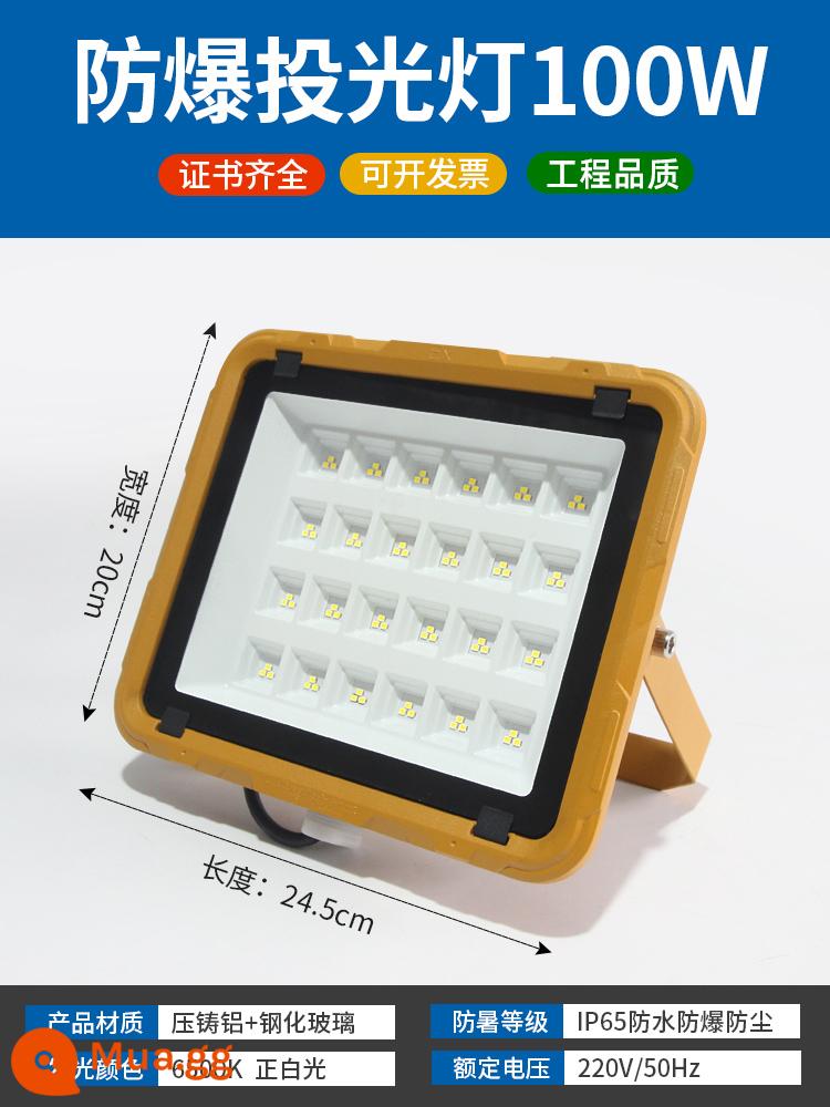 LED Đèn phòng chống nổ tiêu chuẩn quốc gia - Đèn pha chống cháy nổ 100W [bán chạy nhất]