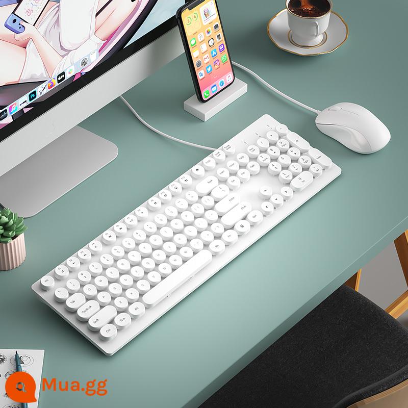 BOW Hangshi máy tính xách tay bên ngoài có dây bàn phím chuột thiết lập chuyên dụng USB máy tính để bàn nhỏ tắt tiếng - Mẫu nâng cấp [Bàn phím có dây + Chuột] màu trắng