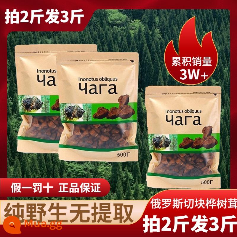 Chaga nhung hoang dã một nhung chaga catty chính hãng nhập khẩu từ cửa hàng hàng đầu của Nga vàng đen không phải núi Trường Bạch Chaga obliquus - 30% người yêu thích đường chọn [uống 2 gói 3 cân] và nhận gói cải tiến với giá 115/gói