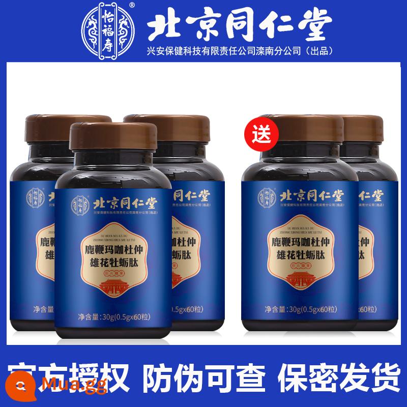 Bắc Kinh Tongrentang Roi hươu Nhân sâm Maca Oyster Peptide Viên nén Men's Male Adult Sản phẩm uống Sản phẩm không tốt cho sức khỏe LY - [Mua 3 tặng 2] Giao hàng thật 5 chai