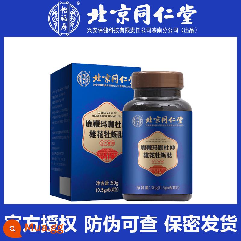 Bắc Kinh Tongrentang Roi hươu Nhân sâm Maca Oyster Peptide Viên nén Men's Male Adult Sản phẩm uống Sản phẩm không tốt cho sức khỏe LY - [60 viên trong 1 chai]