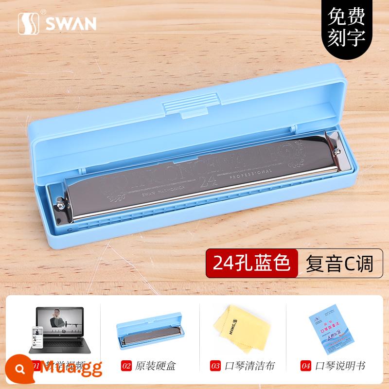 Kèn kèn thiên nga đích thực 24 lỗ C-tone đa âm cho người mới bắt đầu Harmonica nam 28 lỗ biểu diễn chuyên nghiệp cấp độ nâng cao - [Mẫu mới bắt đầu] Phím C đa âm 24 lỗ [xanh sapphire] + trọn bộ quà tặng