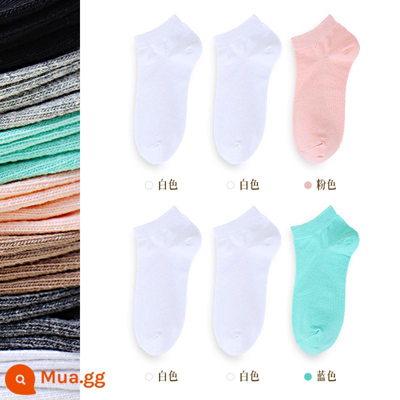 5 đôi tất ba lỗ nam nữ cotton mùa xuân thu chải kỹ thể thao màu đen thoáng khí, chống mùi hôi, thấm hút mồ hôi, tất màu trơn vừa và ngắn - [Nữ] Bộ 6 đôi nòng ngắn 6 chiếc (xanh 1 hồng 1 trắng 4)