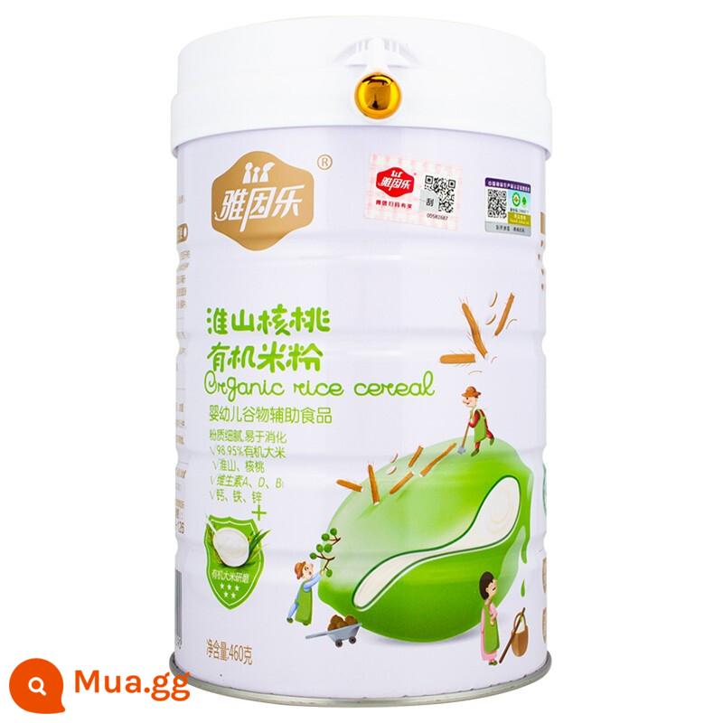 Yain Yueye Berbon Rice Noodles Infantile và Younger Non -Staple Food Organic High Rail Kẽm và Canxi Baby Dinh dưỡng Rice Vanguard đóng hộp 460G - Mì gạo hữu cơ quả óc chó Hoài Sơn