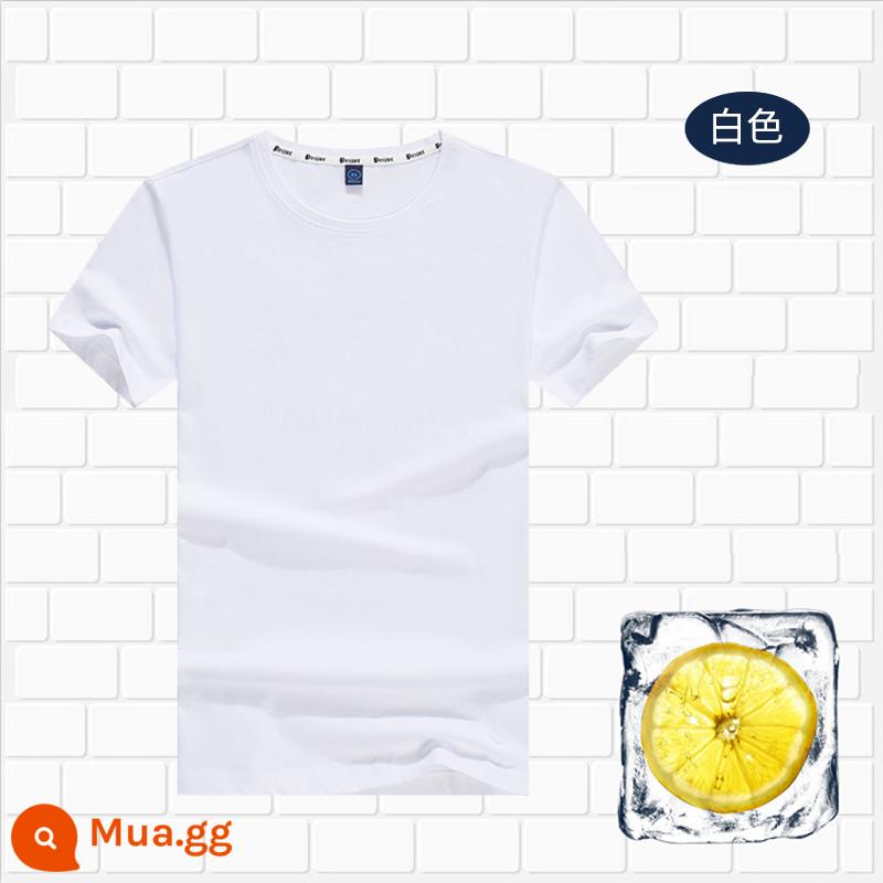 Áo thun cotton tùy chỉnh logo cổ tròn quần áo công sở in quảng cáo văn hóa áo đảng nhóm lớp đồng phục tay ngắn thêu - 803 trắng