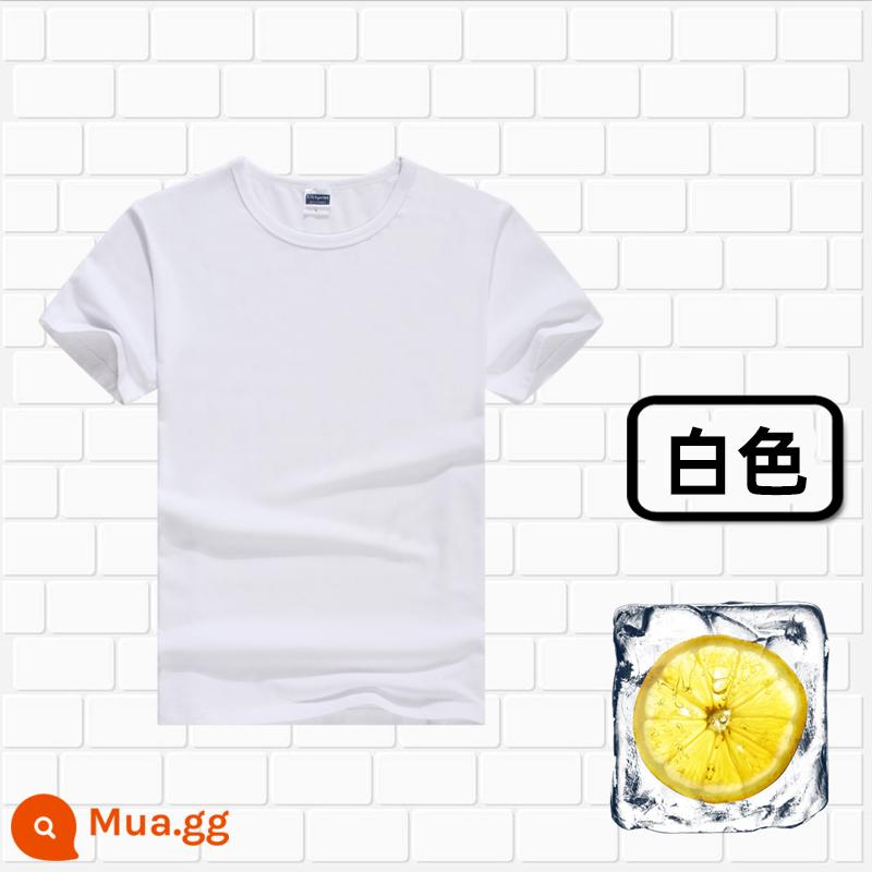 Áo thun cotton tùy chỉnh logo cổ tròn quần áo công sở in quảng cáo văn hóa áo đảng nhóm lớp đồng phục tay ngắn thêu - 306 trắng