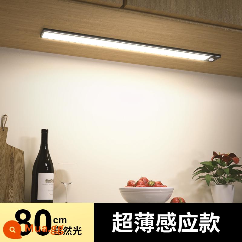 Đèn LED thông minh cơ thể con người dải ánh sáng cảm ứng sạc không dây tự dính tổng thể tủ bếp tủ giày hiên tủ rượu tủ quần áo dải ánh sáng - [Mẫu siêu mỏng 9 mm] Cảm biến ánh sáng tự nhiên 80 cm/luôn ở chế độ kép