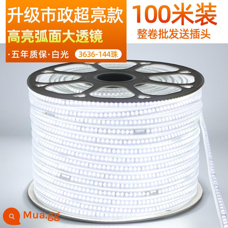 Dải Đèn LED Ngoài Trời Chống Thấm Nước 220V Siêu Sáng Nhà Phòng Khách Trần Dự Án Đèn 3 Màu Lõi Ngoài Trời Ấm Dây Dải Ánh Sáng - 100 mét [Mô hình siêu sáng thành phố được nâng cấp] 3636-144 hạt ★ đèn trắng 10 phích cắm