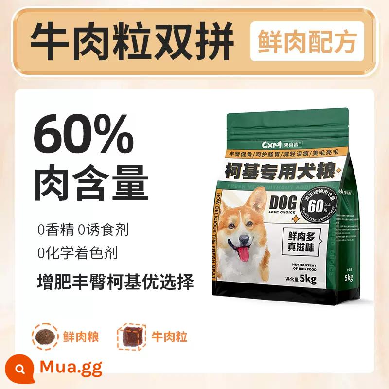 Thức ăn cho chó đặc biệt Corgi gói 20 catties chó con chó trưởng thành đông khô chó nhỏ mông vỗ béo giá đầy đủ 40 viên bổ sung canxi chống rụng lông - [Mẫu nâng cấp] Bò viên cho Corgi