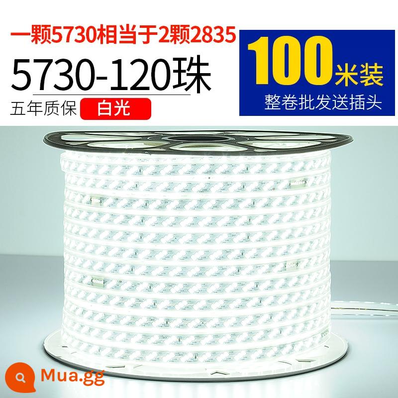 Đèn LED với ánh sáng kỹ thuật ngoài trời 100m - 5730 ba hàng 120 ánh sáng trắng ngọc trai 100 mét miễn phí 10 phích cắm